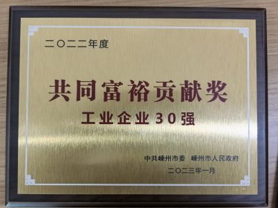 2022年度共同富裕貢獻(xiàn)獎(jiǎng)工業(yè)企業(yè)30強(qiáng)